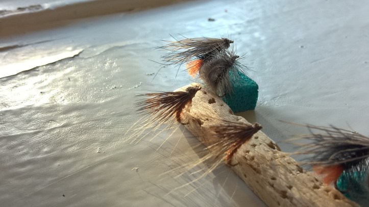 wp_20160908_17_55_53_pro