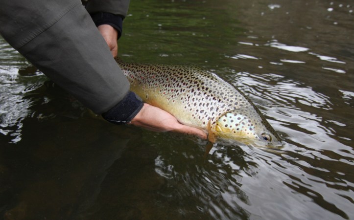 kalastus03-1920x1080